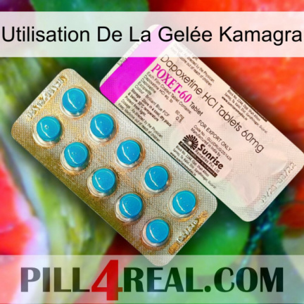 Utilisation De La Gelée Kamagra new07
